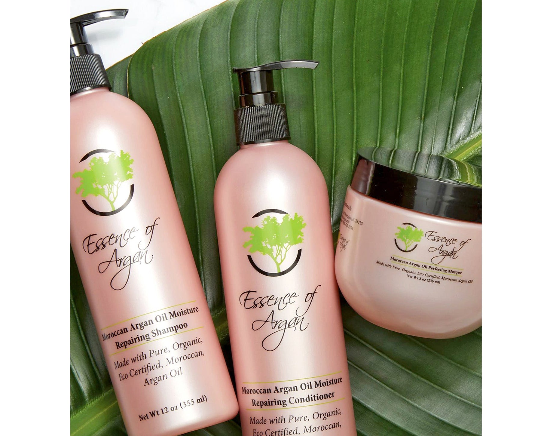 Organic Hair care Bundle Promotion