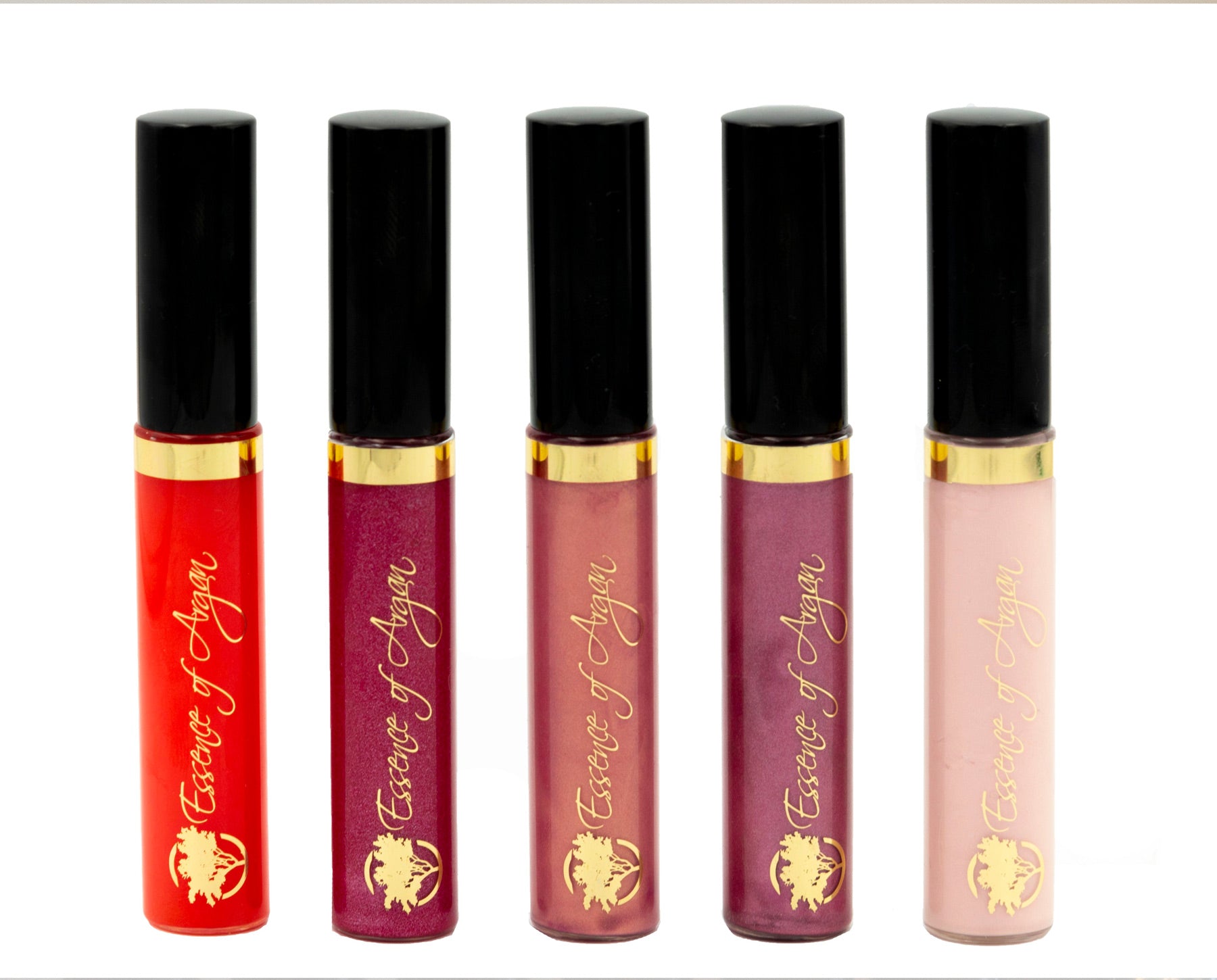 Argan Infused Lip Gloss Color Options